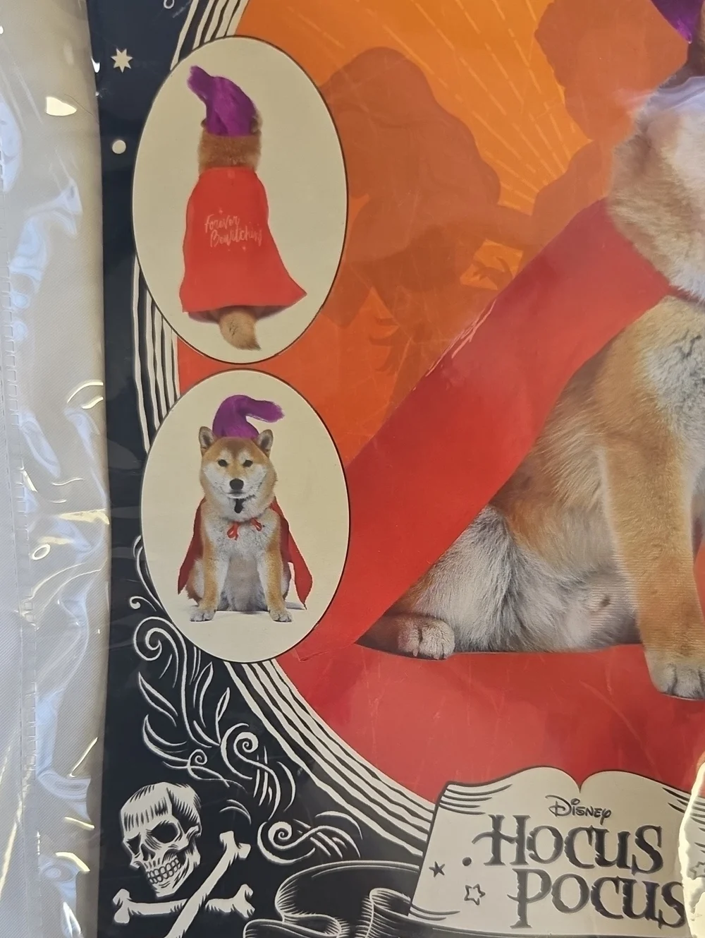 Disney Mary Sanderson Pet Costume - Red & Purple
